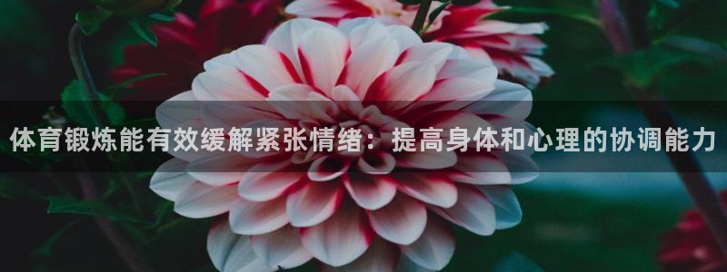 678体育官网：体育锻炼能有效缓解紧张情绪：提高身体和心理的协调能力