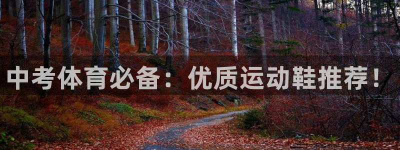 678体育知识：中考体育必备：优质运动鞋推荐！