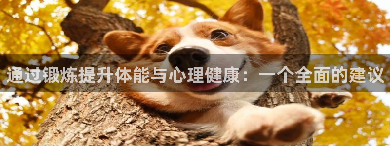 678体育官网：通过锻炼提升体能与心理健康：一个全面的建议