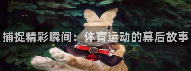 678体育官网下载：捕捉精彩瞬间：体育运动的幕后故事