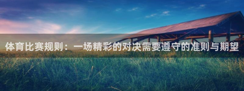 678体育知识：体育比赛规则：一场精彩的对决需要遵守的准则与期望
