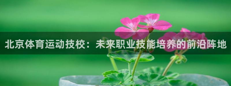 678体育官网地址：北京体育运动技校：未来职业技能培养的前沿阵地