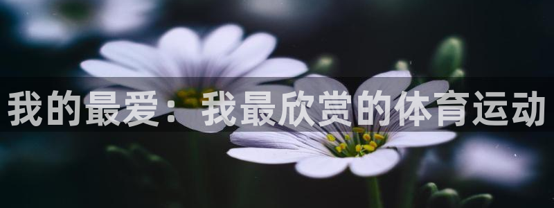 678体育官网地址：我的最爱：我最欣赏的体育运动