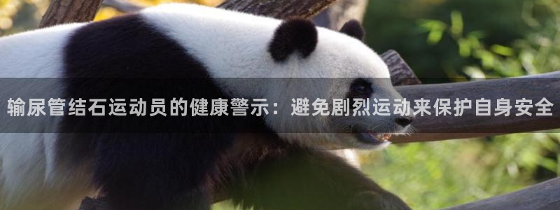678体育知识：输尿管结石运动员的健康警示：避免剧烈运动来保护自身安全
