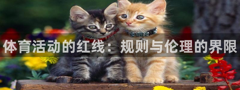 678体育知识：体育活动的红线：规则与伦理的界限