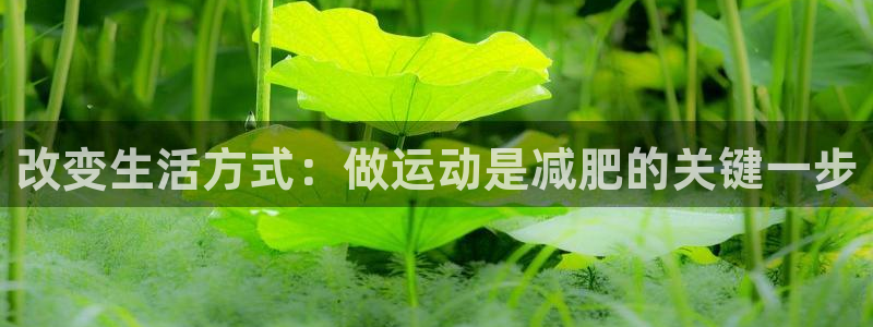 678体育官网：改变生活方式：做运动是减肥的关键一步