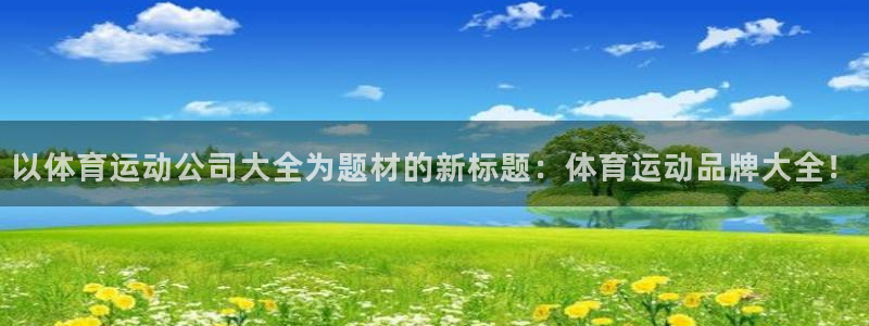678体育：以体育运动公司大全为题材的新标题：体育运动品牌大全！