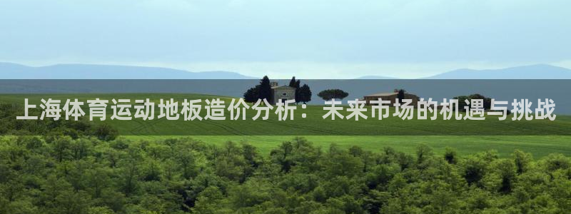 678体育app：上海体育运动地板造价分析：未来市场的机遇与挑战