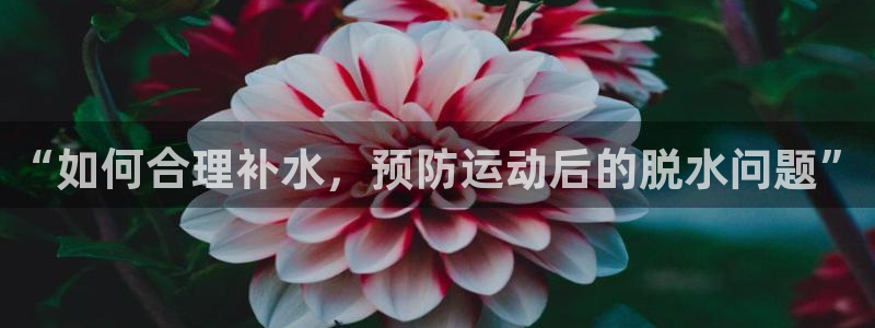 678体育官网地址：“如何合理补水，预防运动后的脱水问题”