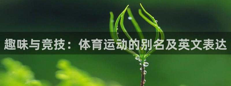 678体育知识：趣味与竞技：体育运动的别名及英文表达