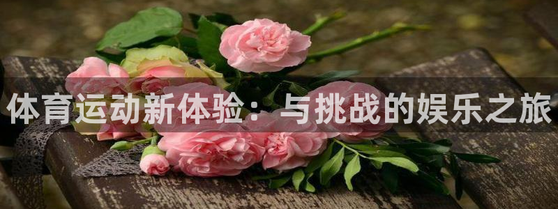 678体育官网下载：体育运动新体验：与挑战的娱乐之旅