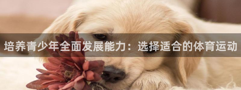 678体育：培养青少年全面发展能力：选择适合的体育运动
