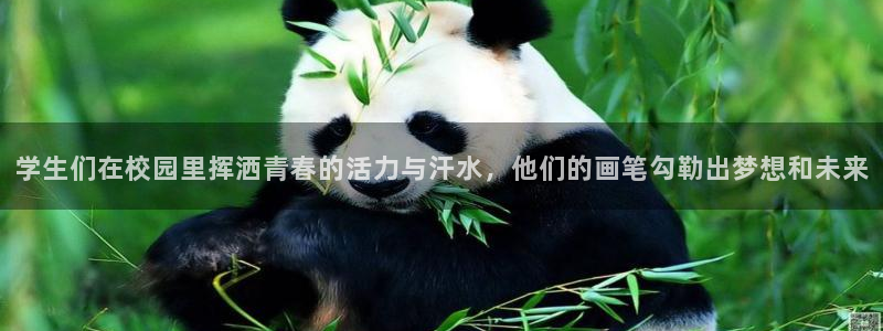 678体育app：学生们在校园里挥洒青春的活力与汗水，他们的画笔勾勒出梦想和未来