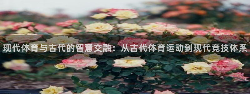 678体育官网地址：现代体育与古代的智慧交融：从古代体育运动到现代竞技体系