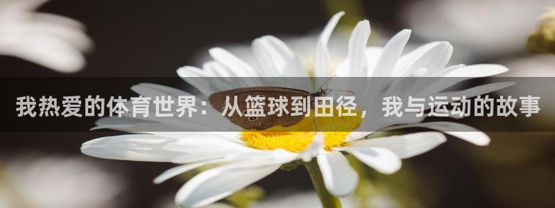 678体育官网：我热爱的体育世界：从篮球到田径，我与运动的故事